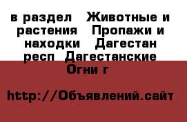  в раздел : Животные и растения » Пропажи и находки . Дагестан респ.,Дагестанские Огни г.